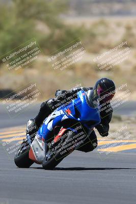 media/May-14-2023-SoCal Trackdays (Sun) [[024eb53b40]]/Turn 5 Tree of Life (1125am)/